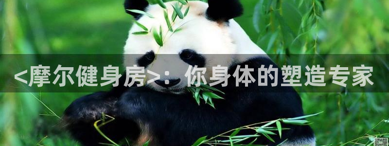 意昂2招商