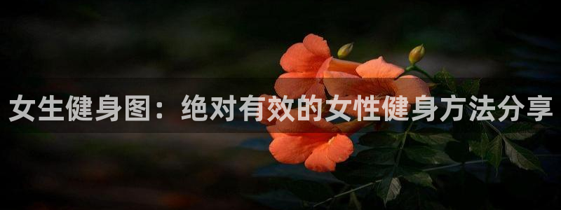 意昂2招商