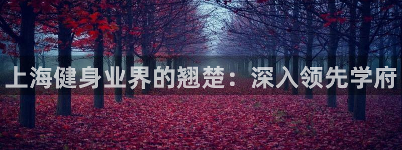 意昂2官网