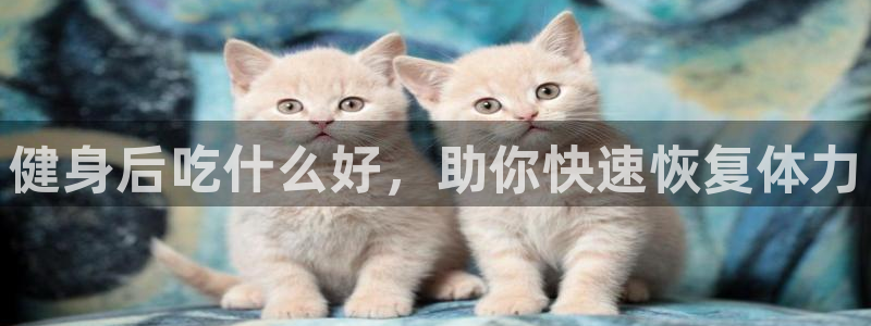 意昂2官方平台