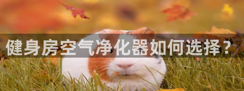 意昂2官网