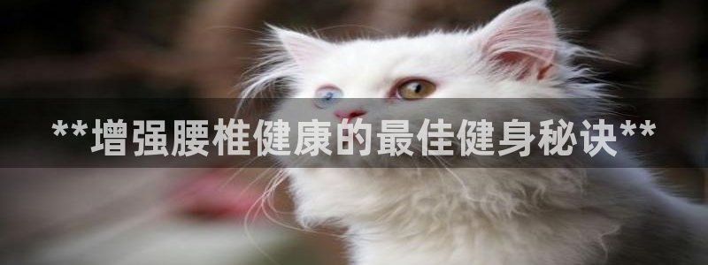 意昂2招商