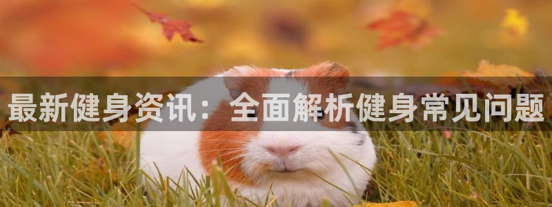 意昂2官方平台