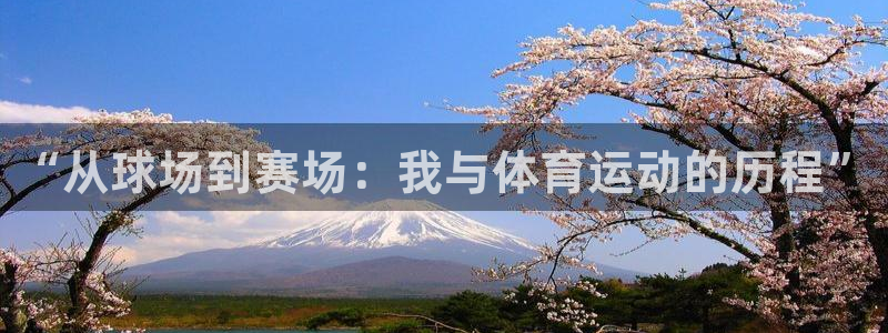 谈球吧