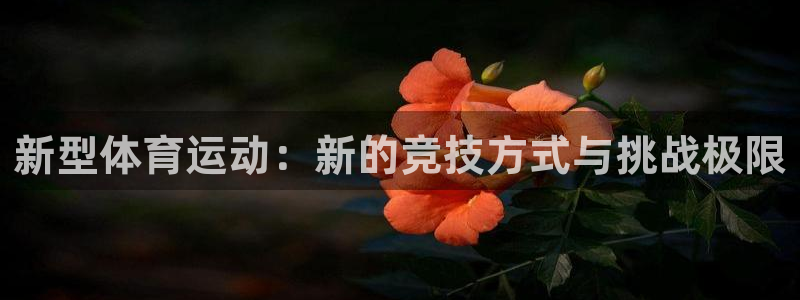 谈球吧体育