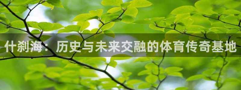 谈球吧体育官网