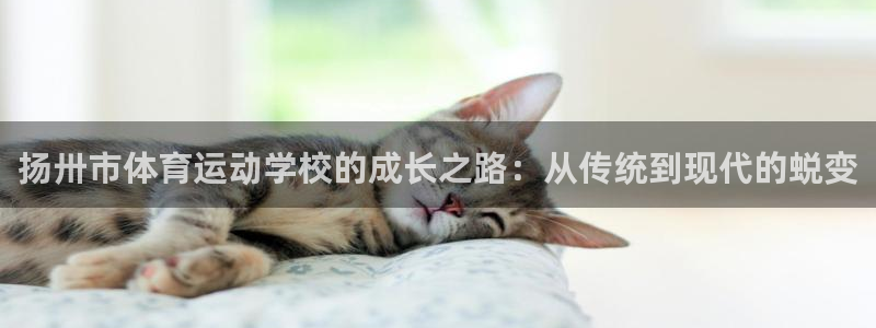 谈球吧体育官网