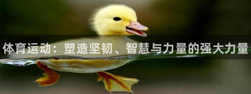 谈球吧