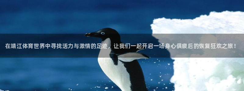谈球吧体育官网