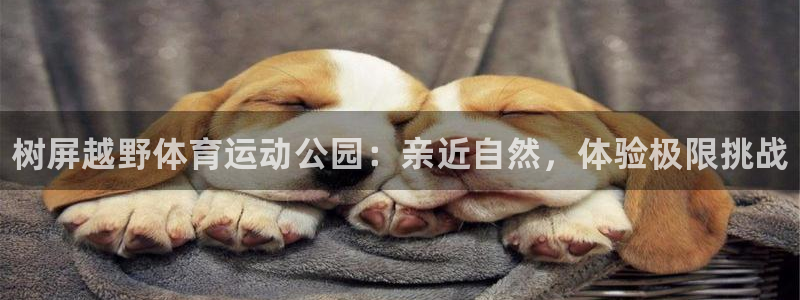 谈球吧