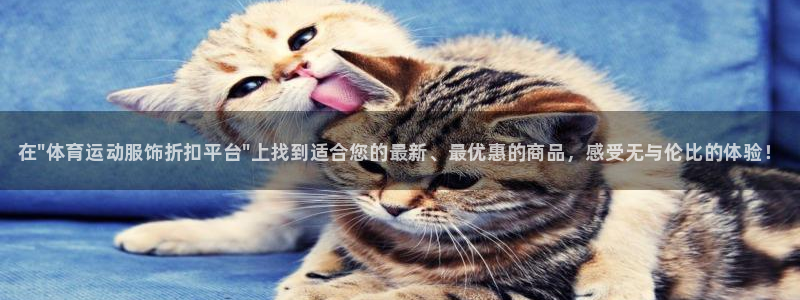 谈球吧体育