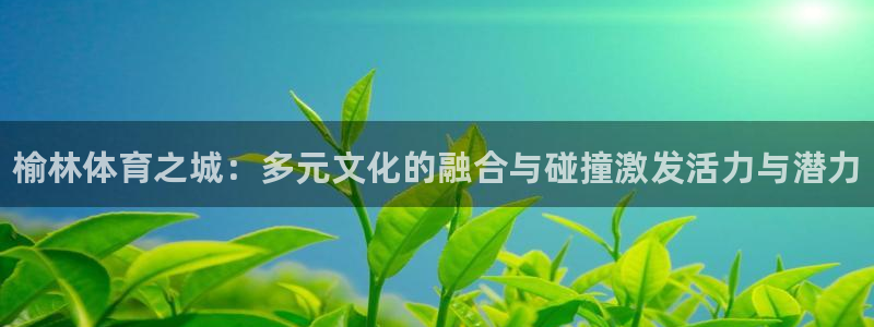 谈球吧