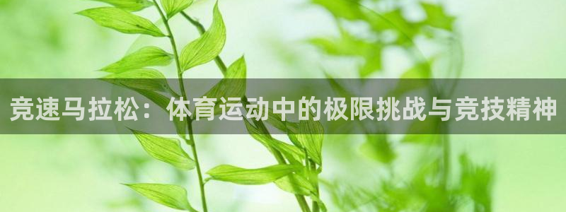谈球吧体育官网