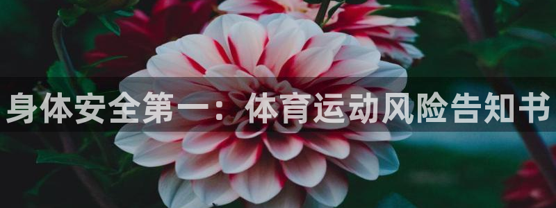 谈球吧体育官网