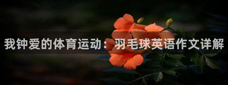 谈球吧体育