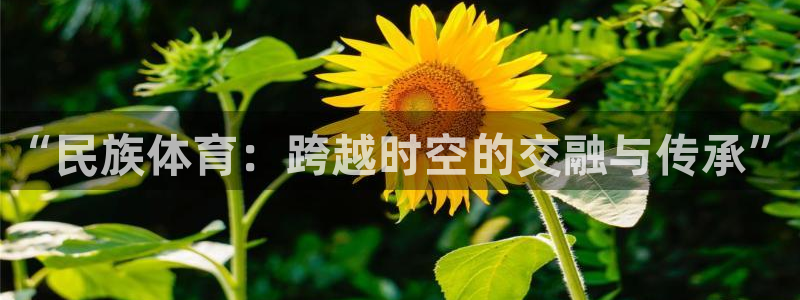 谈球吧