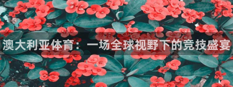谈球吧体育