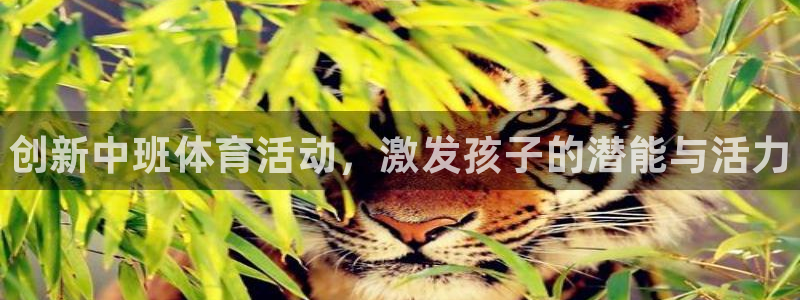 谈球吧体育