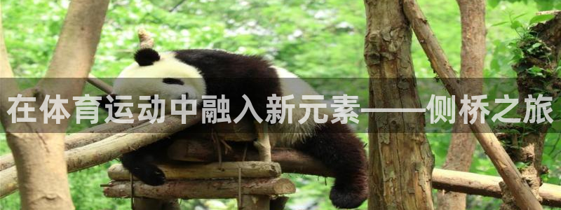 谈球吧