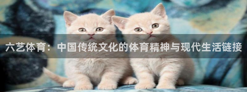 谈球吧体育官网