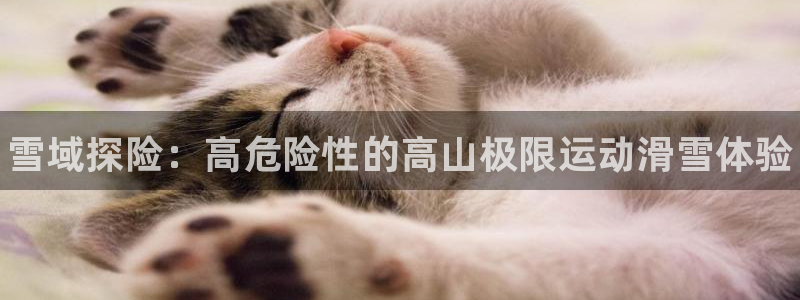 谈球吧