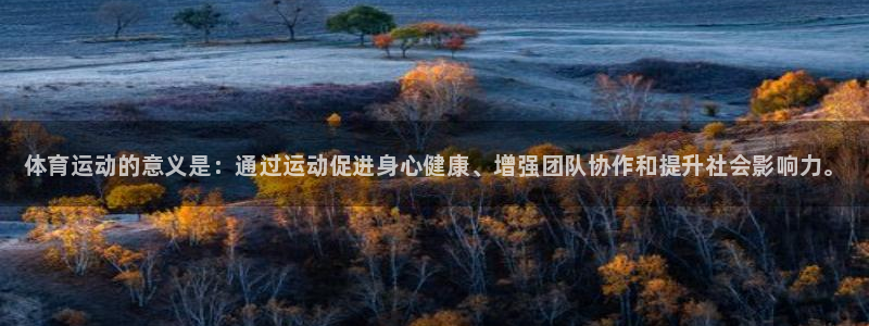 谈球吧