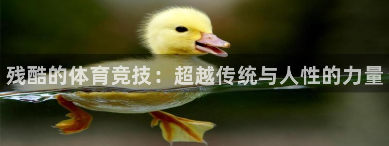 谈球吧