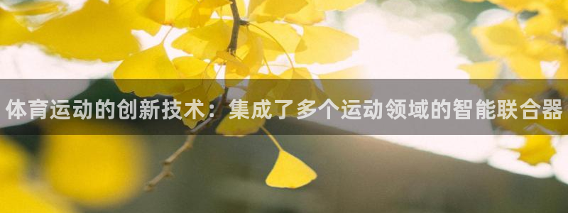 谈球吧