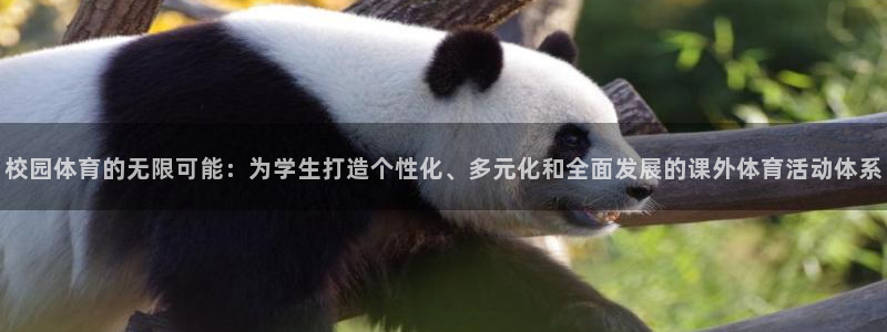 谈球吧