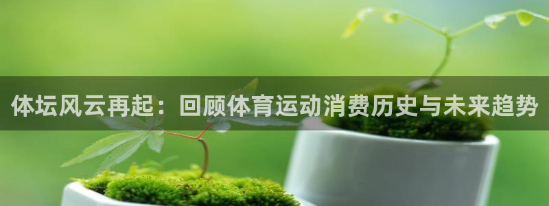谈球吧体育官网