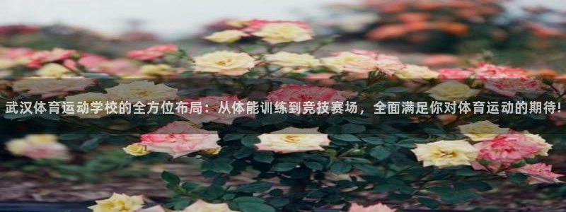 谈球吧