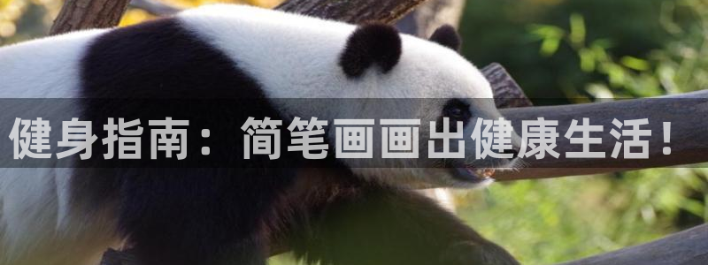 谈球吧体育