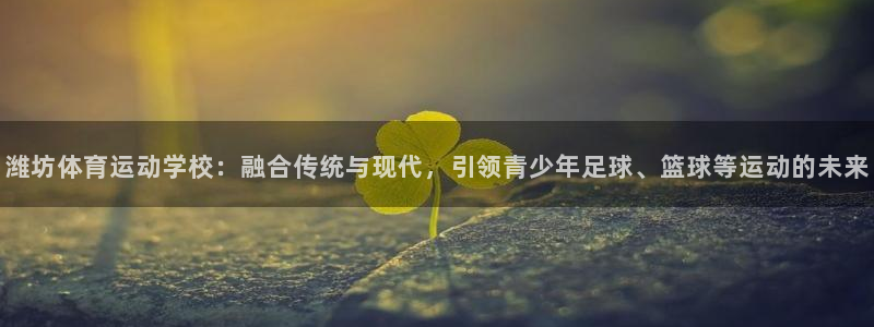 谈球吧