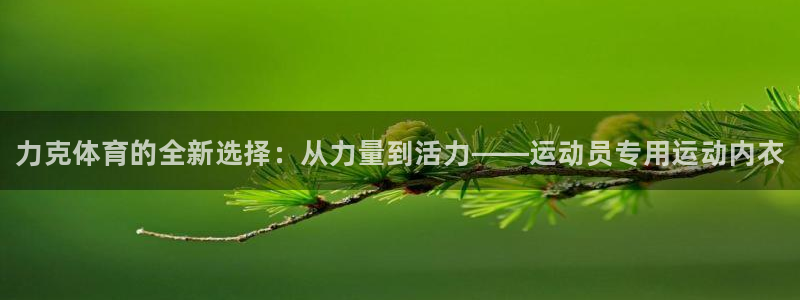谈球吧体育官网