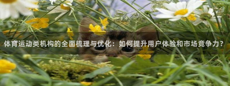 谈球吧体育官网