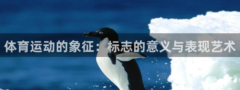 谈球吧体育