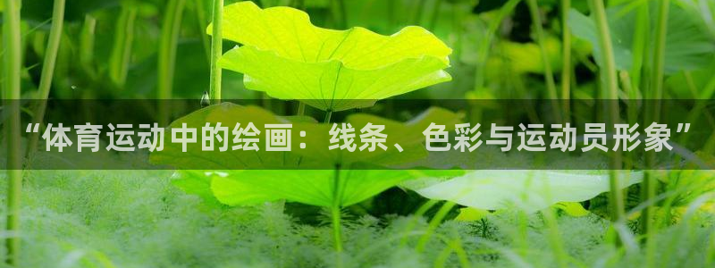 谈球吧