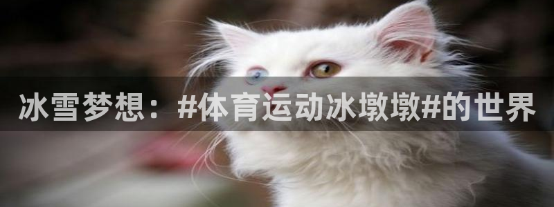 谈球吧体育官网