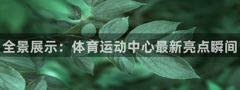 谈球吧体育