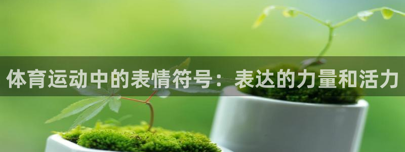 谈球吧体育官网
