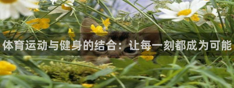 谈球吧体育官网