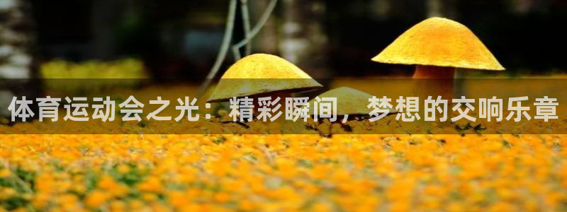 谈球吧体育官网